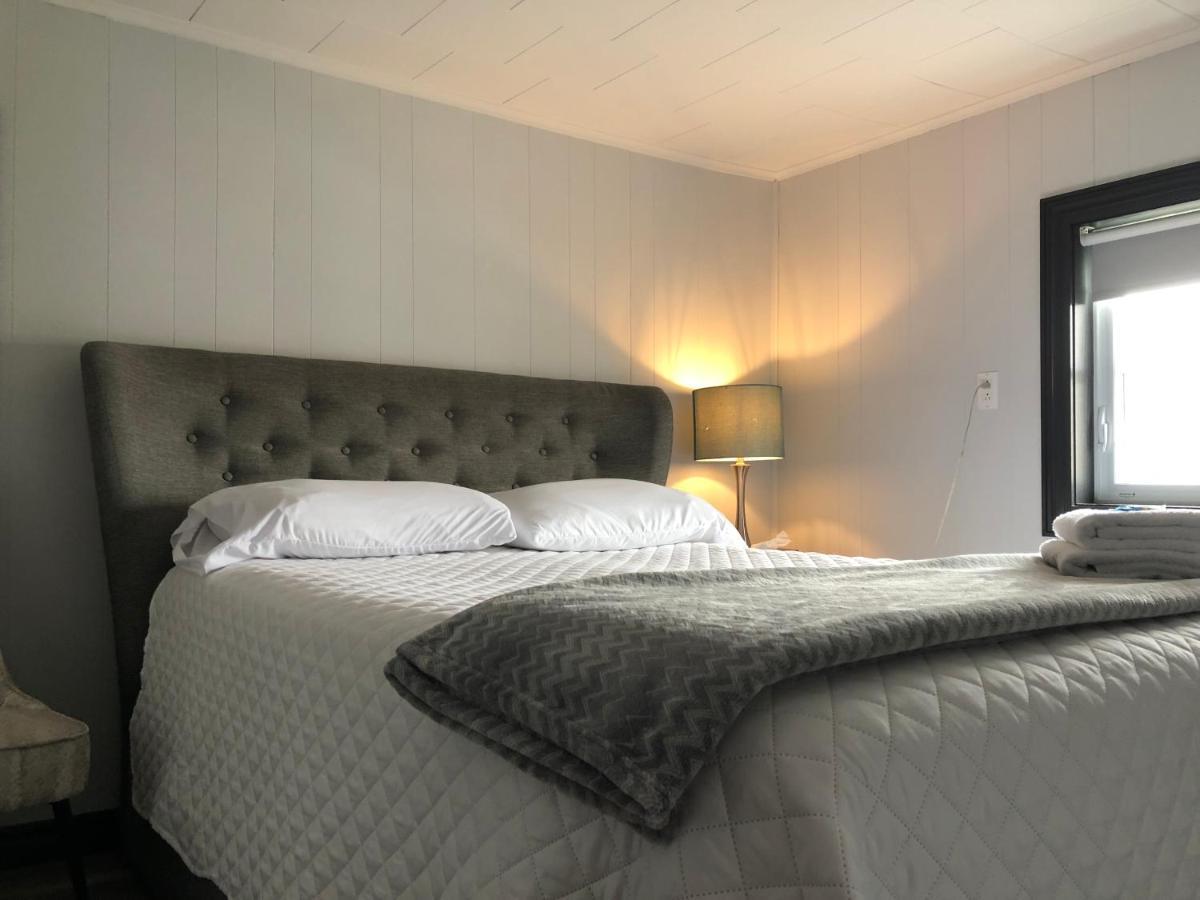 Alma'S Cape Shore Cottage! Your Home Away From Home! Bonavista Ngoại thất bức ảnh