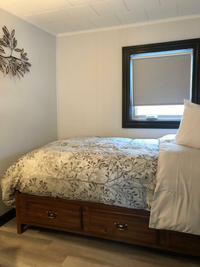Alma'S Cape Shore Cottage! Your Home Away From Home! Bonavista Ngoại thất bức ảnh
