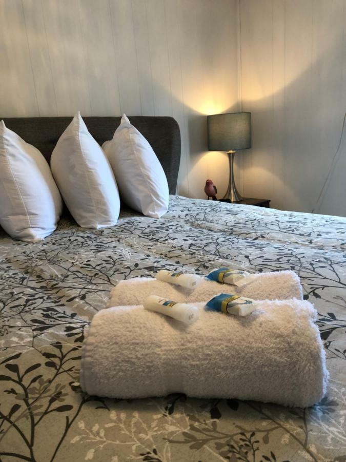 Alma'S Cape Shore Cottage! Your Home Away From Home! Bonavista Ngoại thất bức ảnh